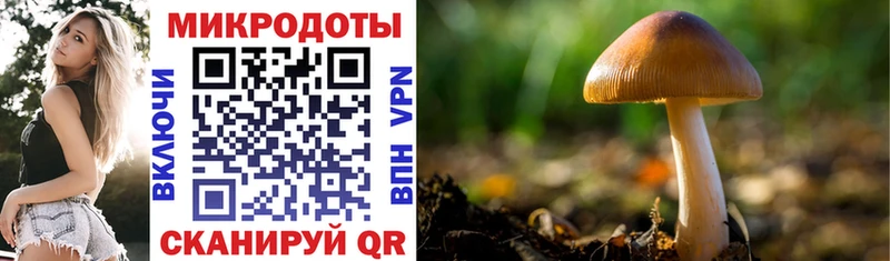 Купить закладки  Стрежевой  Псилоцибиновые грибы Magic Shrooms 